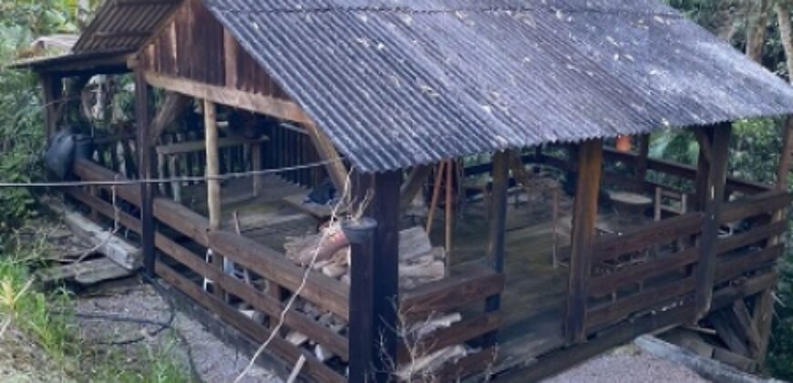 🌿✨ LINDA CHÁCARA EM IBIRAMA! ✨🌿