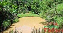 Sítio Encantador em Ibirama! 🏡