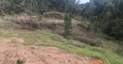 🌿✨ Sítio à Venda – Excelente Oportunidade em Ibirama!