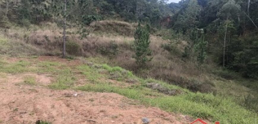 🌿✨ Sítio à Venda – Excelente Oportunidade em Ibirama!