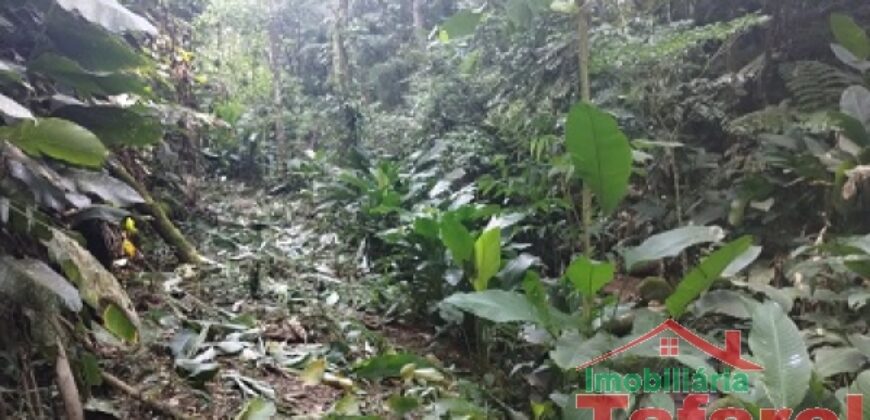 🌿 SÍTIO EM IBIRAMA – GRANDE OPORTUNIDADE! 🌿