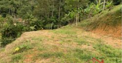 🔥 TERRENO GRANDE NO CENTRO DE IBIRAMA – PREÇO IMPERDÍVEL 🔥