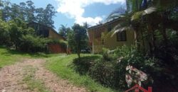 Sítio Encantador em Ibirama! 🏡