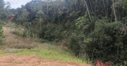 🌿✨ Sítio à Venda – Excelente Oportunidade em Ibirama!