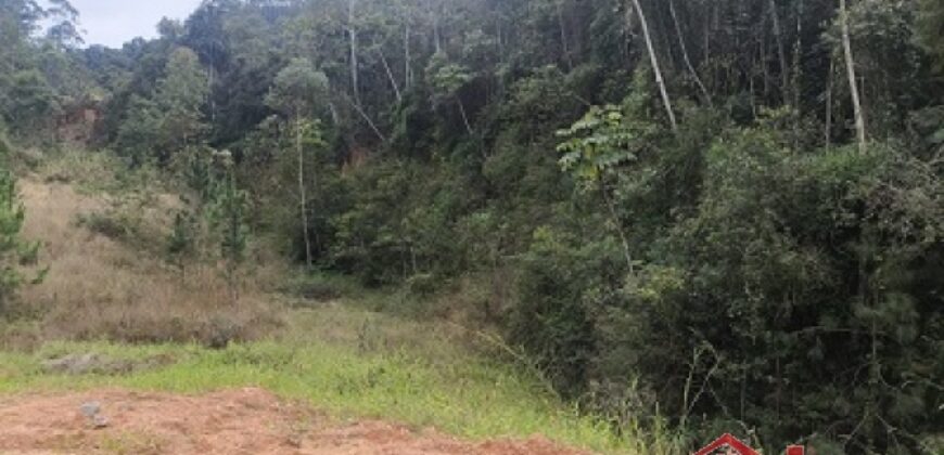 🌿✨ Sítio à Venda – Excelente Oportunidade em Ibirama!