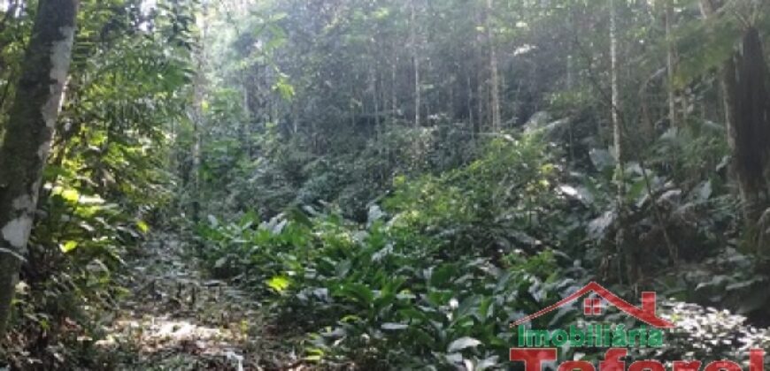 🌿 SÍTIO EM IBIRAMA – GRANDE OPORTUNIDADE! 🌿