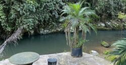 🌿✨ LINDA CHÁCARA EM IBIRAMA! ✨🌿