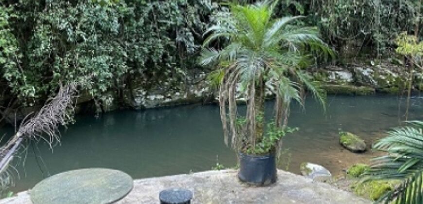 🌿✨ LINDA CHÁCARA EM IBIRAMA! ✨🌿