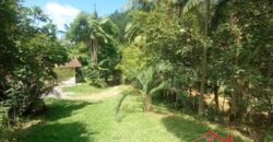 Sítio Encantador em Ibirama! 🏡