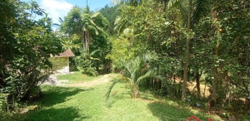 Sítio Encantador em Ibirama! 🏡