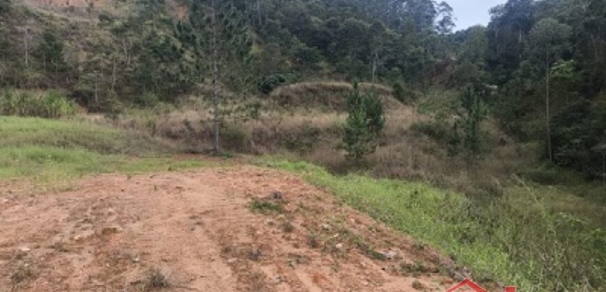 🌿✨ Sítio à Venda – Excelente Oportunidade em Ibirama!