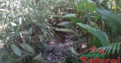 🌿 SÍTIO EM IBIRAMA – GRANDE OPORTUNIDADE! 🌿