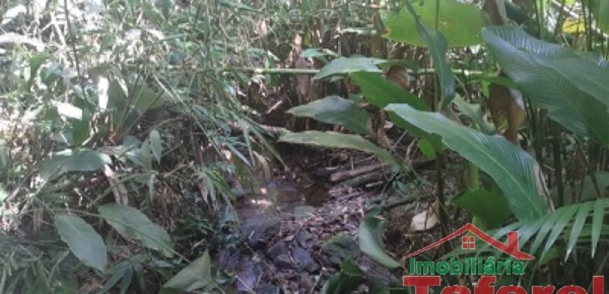 🌿 SÍTIO EM IBIRAMA – GRANDE OPORTUNIDADE! 🌿