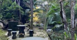 🌿✨ LINDA CHÁCARA EM IBIRAMA! ✨🌿