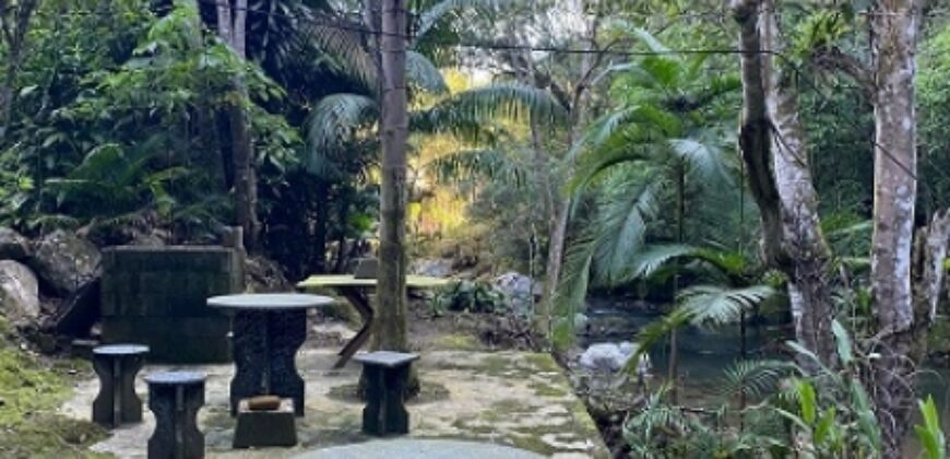 🌿✨ LINDA CHÁCARA EM IBIRAMA! ✨🌿