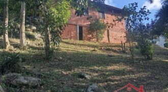 Tranquilidade, espaço e contato com a natureza