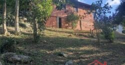 Tranquilidade, espaço e contato com a natureza