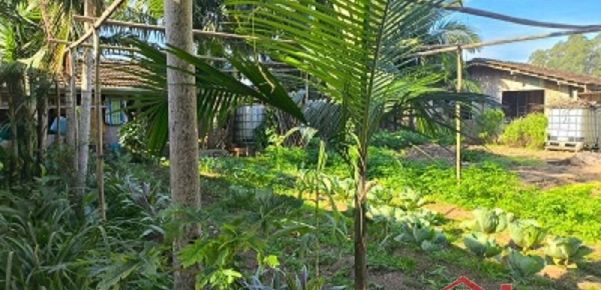 Moradia + Espaço Comercial!