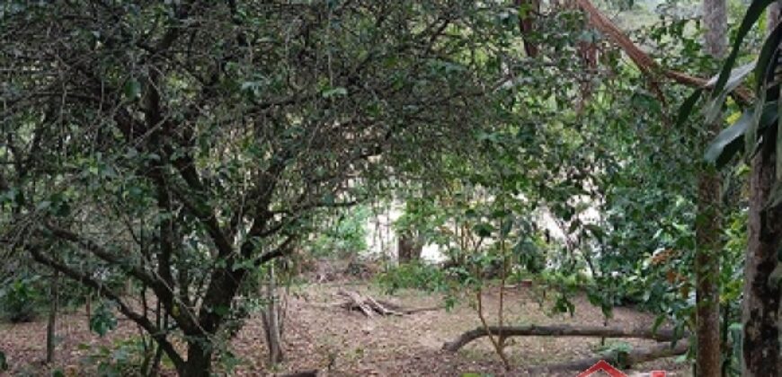 🏡✨ Casa de Alvenaria com Amplo Terreno – Excelente Oportunidade em Ibirama