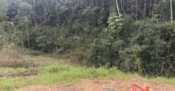 🌿✨ Sítio à Venda – Excelente Oportunidade em Ibirama!