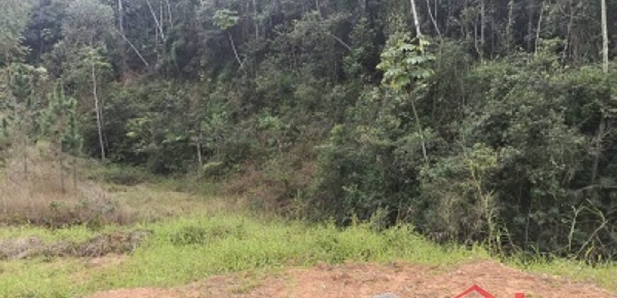 🌿✨ Sítio à Venda – Excelente Oportunidade em Ibirama!