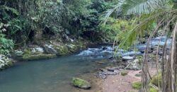 🌿✨ LINDA CHÁCARA EM IBIRAMA! ✨🌿