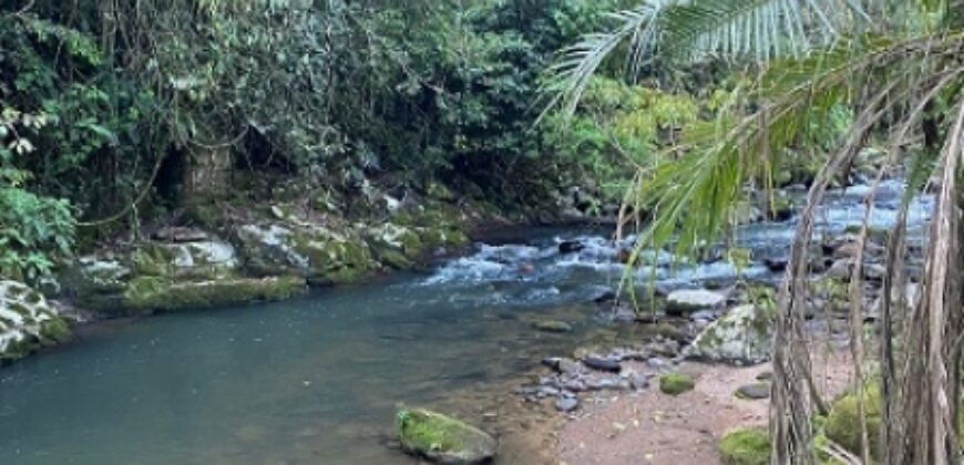 🌿✨ LINDA CHÁCARA EM IBIRAMA! ✨🌿