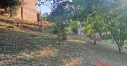 Tranquilidade, espaço e contato com a natureza