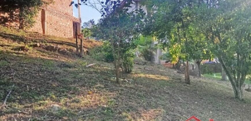 Tranquilidade, espaço e contato com a natureza