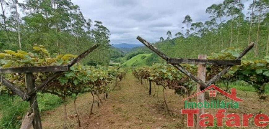 Sítio Encantador em Ibirama! 🏡