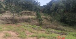 🌿✨ Sítio à Venda – Excelente Oportunidade em Ibirama!