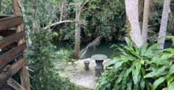 🌿✨ LINDA CHÁCARA EM IBIRAMA! ✨🌿