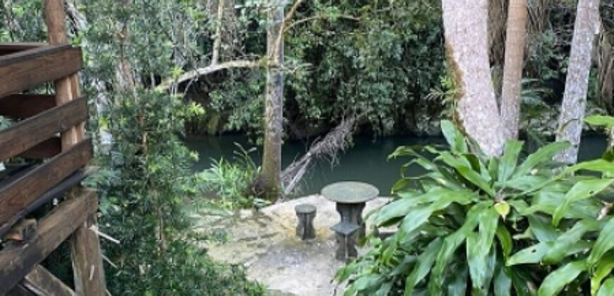 🌿✨ LINDA CHÁCARA EM IBIRAMA! ✨🌿