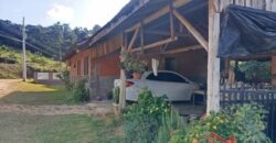 Tranquilidade, espaço e contato com a natureza