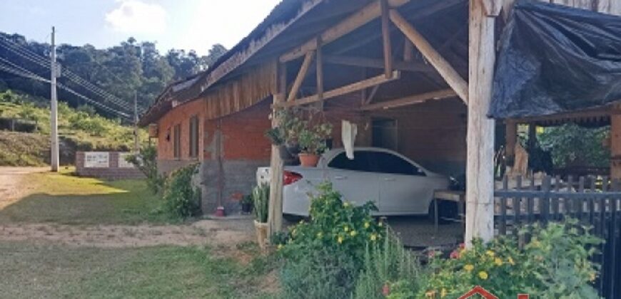 Tranquilidade, espaço e contato com a natureza