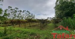 Sítio Encantador em Ibirama! 🏡