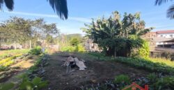 Moradia + Espaço Comercial!