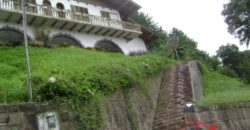 🌿🏡 Oportunidade Exclusiva para Investidores em Ibirama!