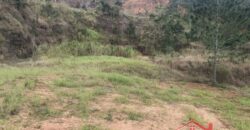 🌿✨ Sítio à Venda – Excelente Oportunidade em Ibirama!