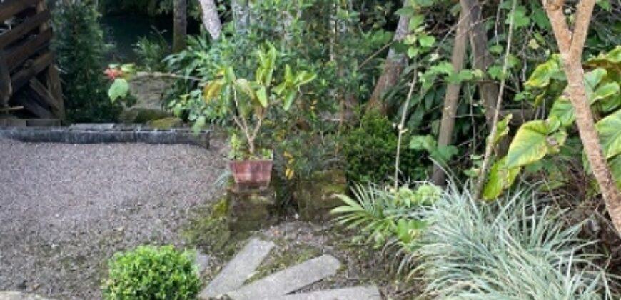 🌿✨ LINDA CHÁCARA EM IBIRAMA! ✨🌿