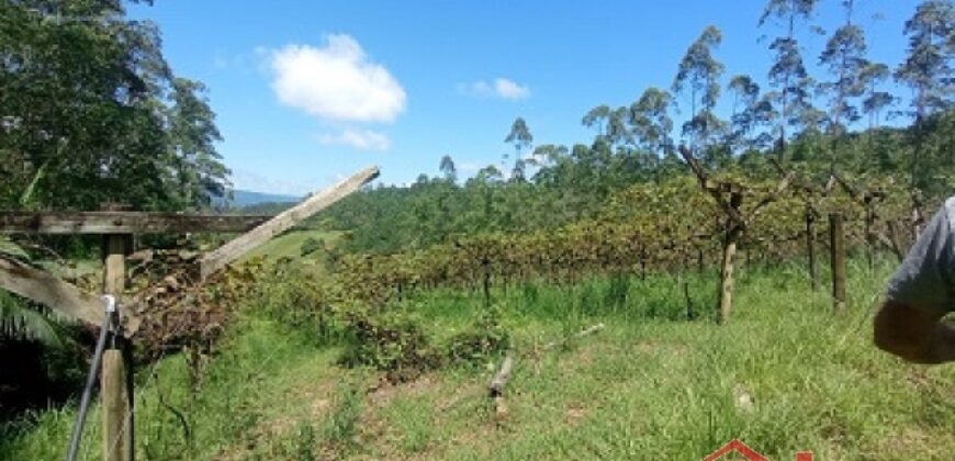 Sítio Encantador em Ibirama! 🏡