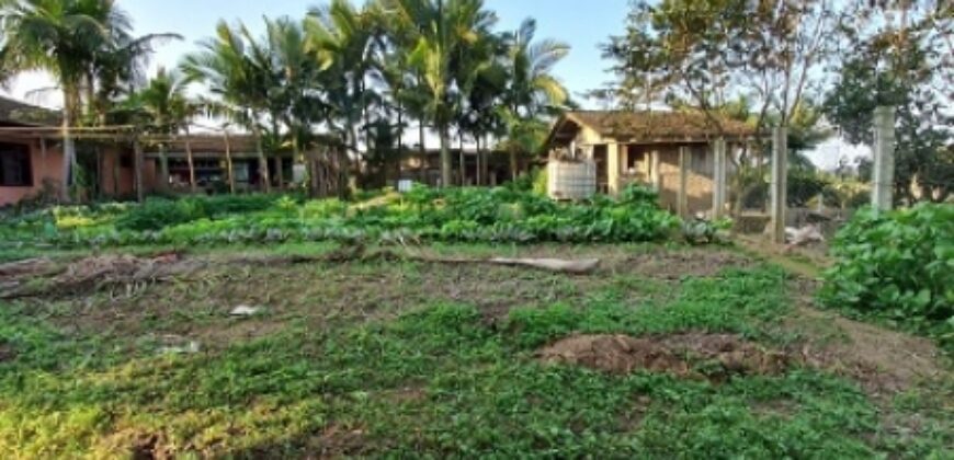 Moradia + Espaço Comercial!