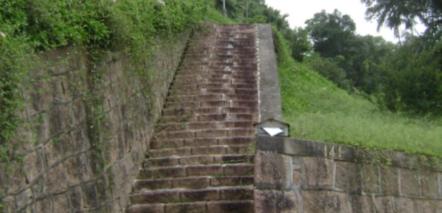 🌿🏡 Oportunidade Exclusiva para Investidores em Ibirama!