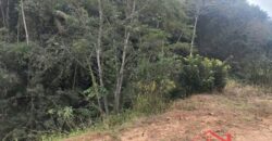 🌿✨ Sítio à Venda – Excelente Oportunidade em Ibirama!