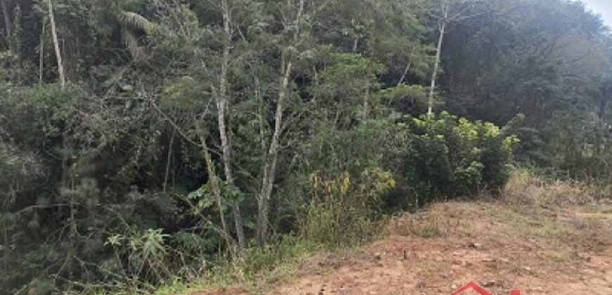 🌿✨ Sítio à Venda – Excelente Oportunidade em Ibirama!