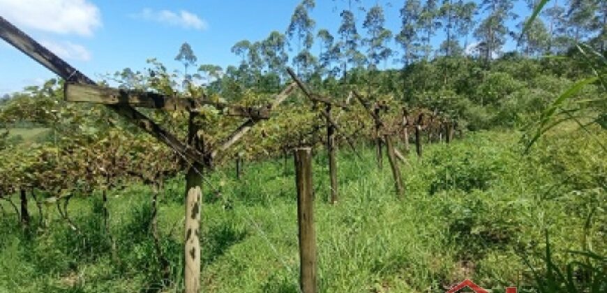 Sítio Encantador em Ibirama! 🏡