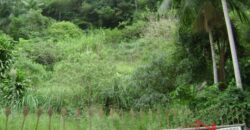 🌿🏡 Oportunidade Exclusiva para Investidores em Ibirama!