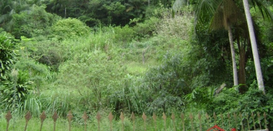 🌿🏡 Oportunidade Exclusiva para Investidores em Ibirama!