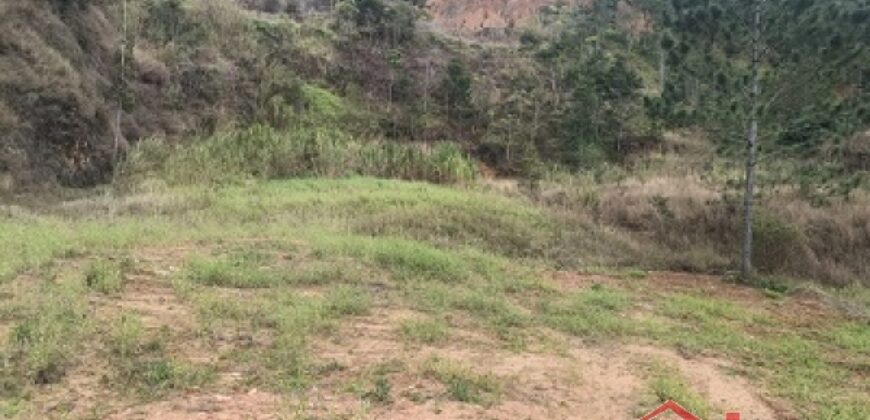 🌿✨ Sítio à Venda – Excelente Oportunidade em Ibirama!