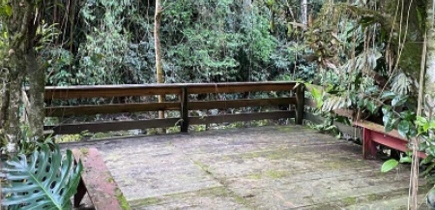 🌿✨ LINDA CHÁCARA EM IBIRAMA! ✨🌿